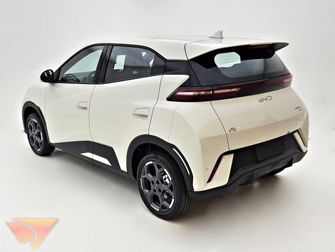 BYD Dolphin Mini (Elétrico)