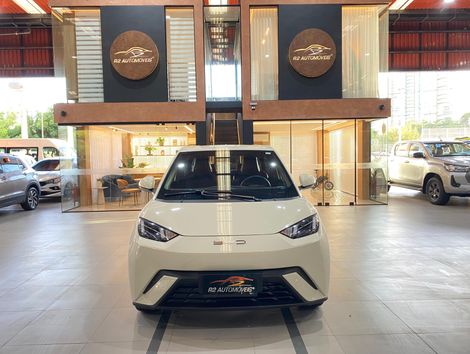 BYD Dolphin Mini (Elétrico)