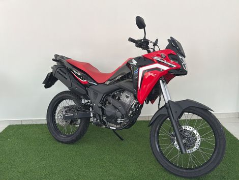 HONDA SAHARA 300 RALLY ABS FLEX
