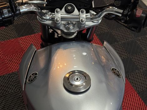 YAMAHA YS 250 FAZER/ FAZER L. EDITION /BLUEFLEX