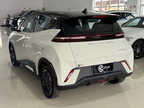 BYD Dolphin Mini (Elétrico)