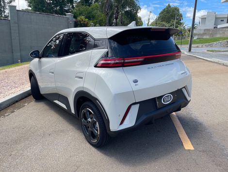 BYD Dolphin Mini (Elétrico)