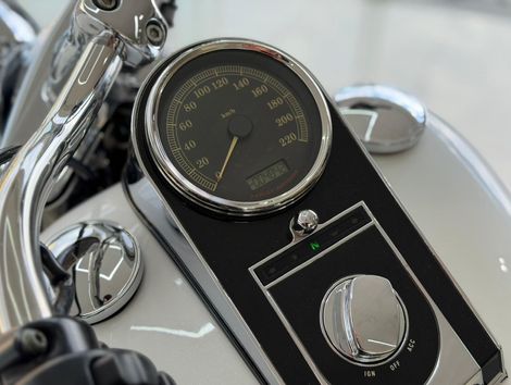 Harley SOFTAIL DELUXE  FLSTN