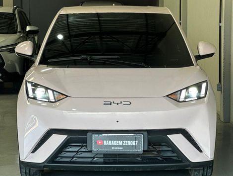 BYD Dolphin Mini (Elétrico)