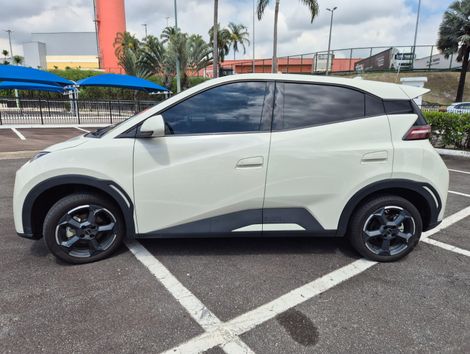 BYD Dolphin Mini (Elétrico)