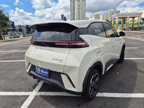 BYD Dolphin Mini (Elétrico)