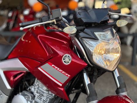 YAMAHA YS 250 FAZER/ FAZER L. EDITION /BLUEFLEX