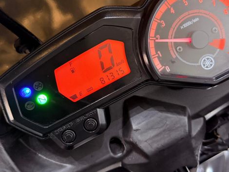 YAMAHA XTZ 250 TENERE/TENERE BLUEFLEX