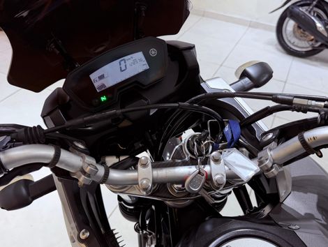 YAMAHA XTZ 250 TENERE/TENERE BLUEFLEX