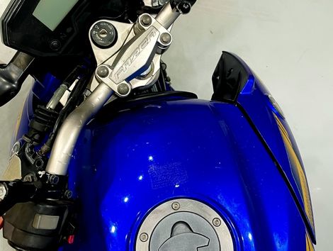 YAMAHA YS 250 FAZER/ FAZER L. EDITION /BLUEFLEX