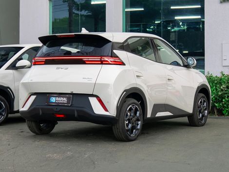 BYD Dolphin Mini (Elétrico)