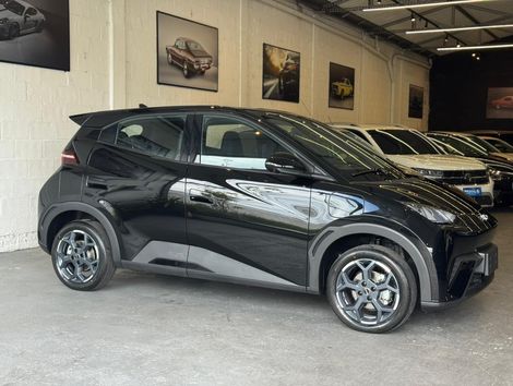 BYD Dolphin Mini (Elétrico)