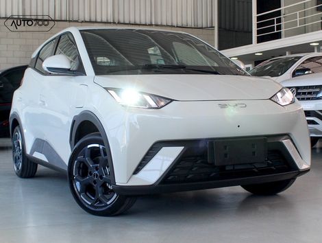 BYD mini dolphin