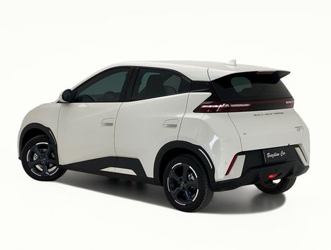 BYD Dolphin Mini (Elétrico)