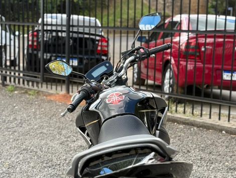 YAMAHA YS 250 FAZER/ FAZER L. EDITION /BLUEFLEX