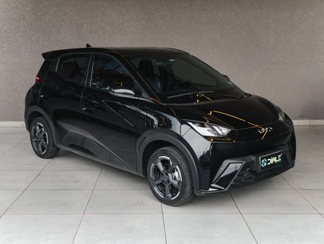 BYD Dolphin Mini (Elétrico)