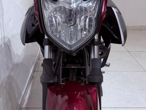 YAMAHA YS 250 FAZER/ FAZER L. EDITION /BLUEFLEX