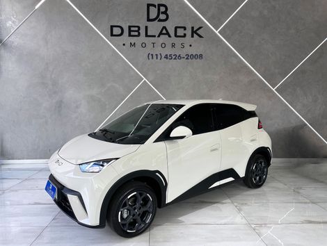 BYD Dolphin Mini (Elétrico)