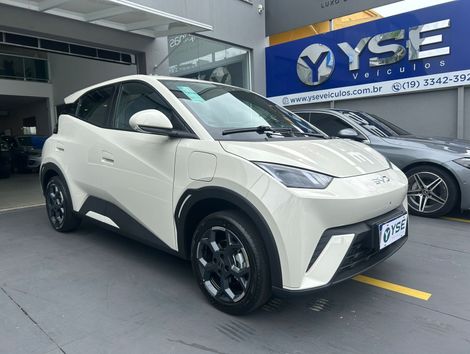 BYD Dolphin Mini (Elétrico)