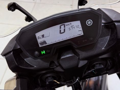 YAMAHA XTZ 250 TENERE/TENERE BLUEFLEX