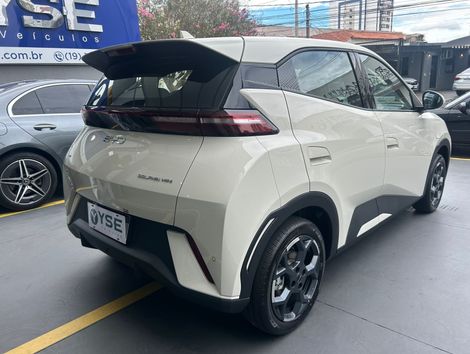 BYD Dolphin Mini (Elétrico)
