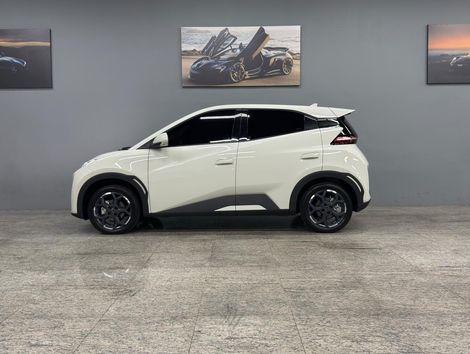 BYD Dolphin Mini (Elétrico)