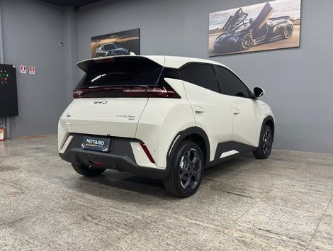 BYD Dolphin Mini (Elétrico)