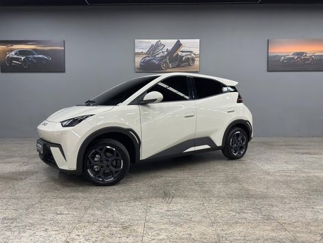 BYD Dolphin Mini (Elétrico)