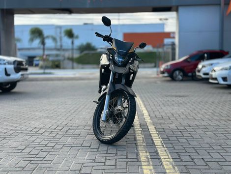 HONDA XRE 300/ 300 ABS/ FLEX