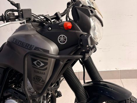 YAMAHA XTZ 250 TENERE/TENERE BLUEFLEX