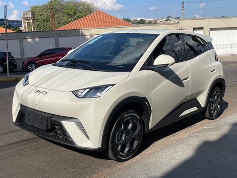BYD Dolphin Mini (Elétrico)