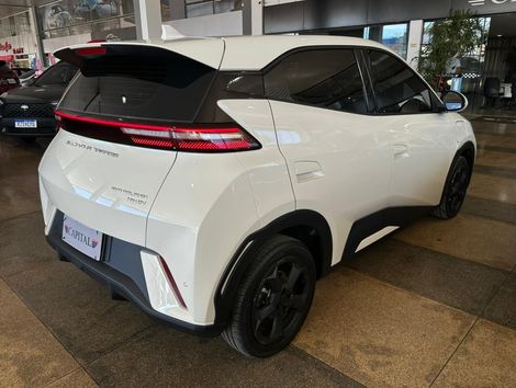 BYD Dolphin Mini (Elétrico)