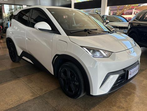 BYD Dolphin Mini (Elétrico)