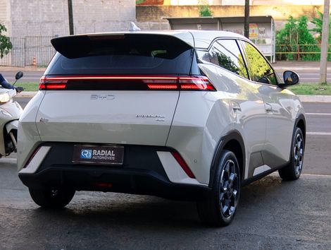 BYD Dolphin Mini (Elétrico)