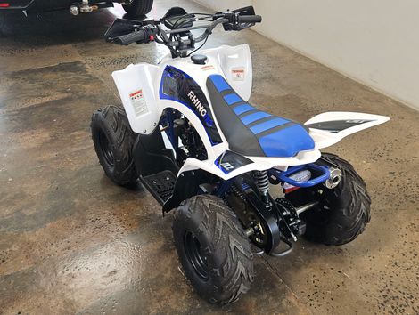 FUN MOTORS Rhino 110 AUT.
