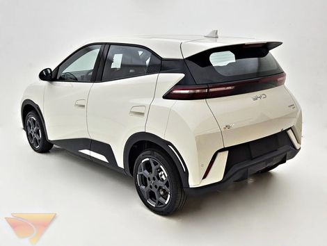 BYD 38 KW ELÉTRICO GS