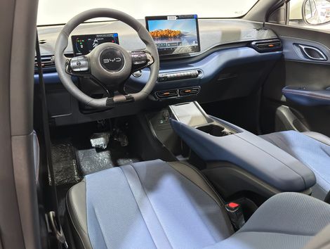 BYD Dolphin Mini (Elétrico)
