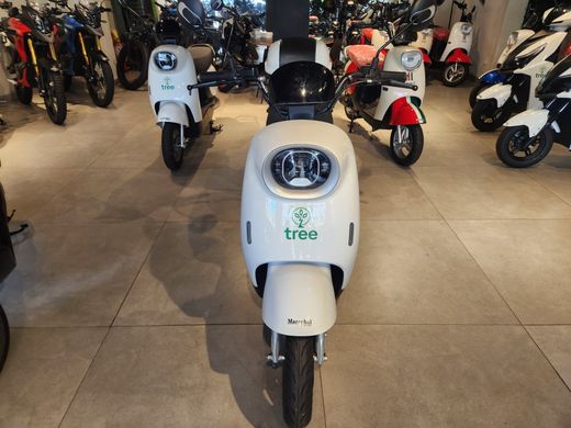 TREE AUTOPROPELIDO MOTORINO 1000W 