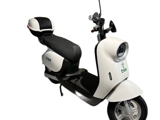 TREE AUTOPROPELIDO MOTORINO 1000W 