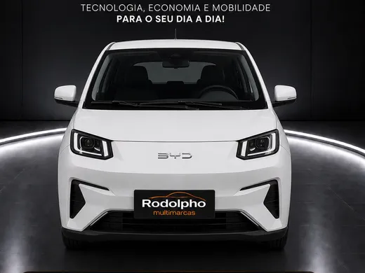 BYD Dolphin Mini (Elétrico)