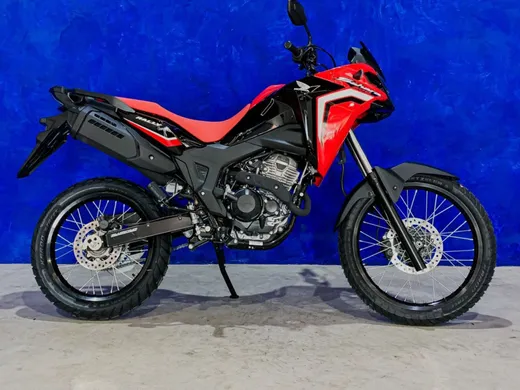 HONDA SAHARA 300 RALLY ABS FLEX