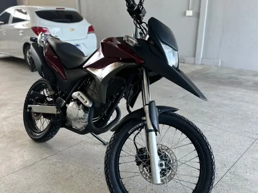 HONDA XRE 300/ 300 ABS/ FLEX