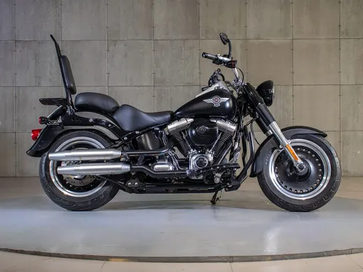 Harley FAT BOY LOW/ SPECIAL FLSTFB