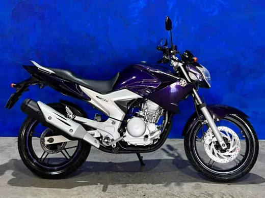 YAMAHA YS 250 FAZER/ FAZER L. EDITION /BLUEFLEX