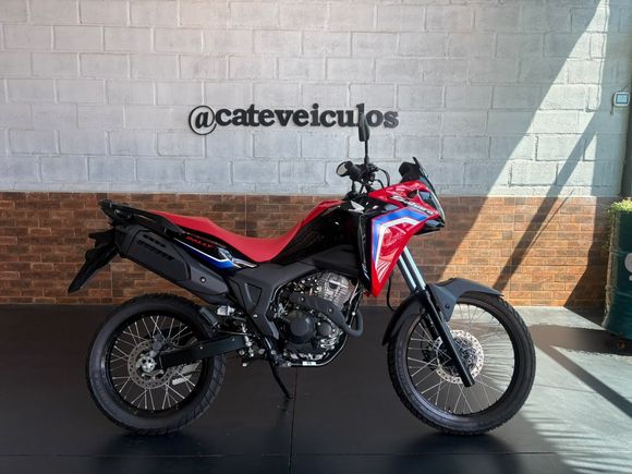 HONDA SAHARA 300 RALLY ABS FLEX