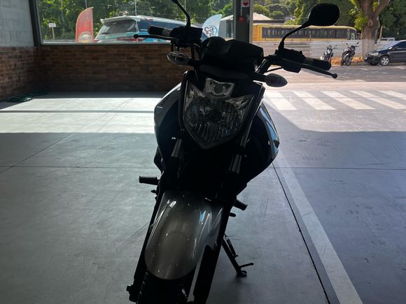 YAMAHA YS 250 FAZER/ FAZER L. EDITION /BLUEFLEX