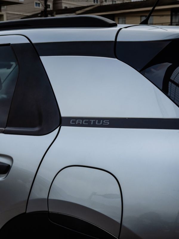 Citroën C4 Cactus Feel Bus 1.6 Flex Automático Pcd - foto 9