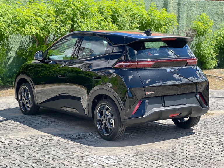 BYD Dolphin Mini (Elétrico)
