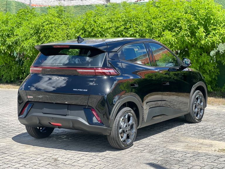 BYD Dolphin Mini (Elétrico)