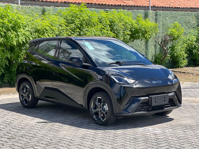 BYD Dolphin Mini (Elétrico)